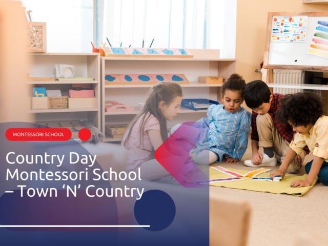 Country Day Montessori School - Town 'N' Country Dirección, teléfono, correo electrónico, horario de apertura ⏬ 👇