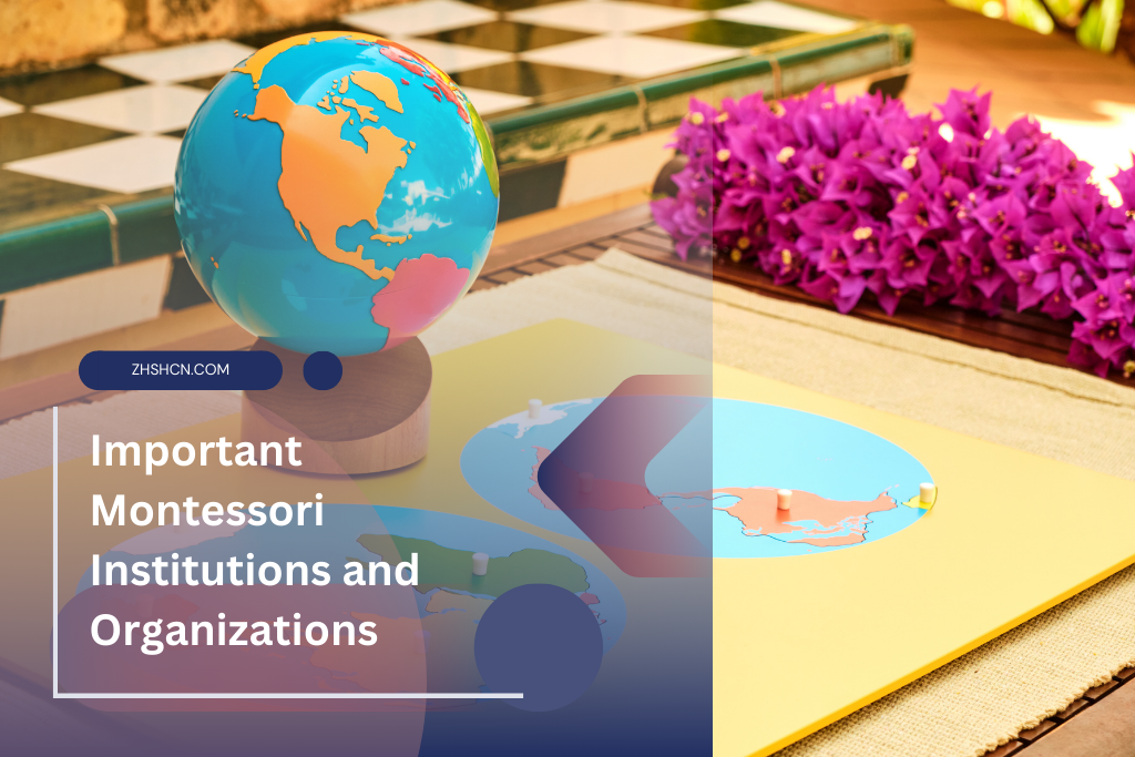 Importantes Instituciones y Organizaciones Montessori