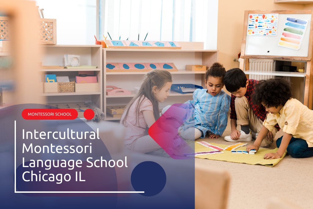 Intercultural Montessori Language School Chicago IL Dirección, teléfono, correo electrónico, horario de apertura ⏬ 👇