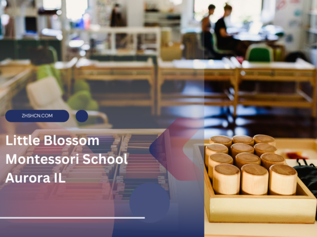 Escuela Little Blossom Montessori Aurora IL ⏬ 👇
