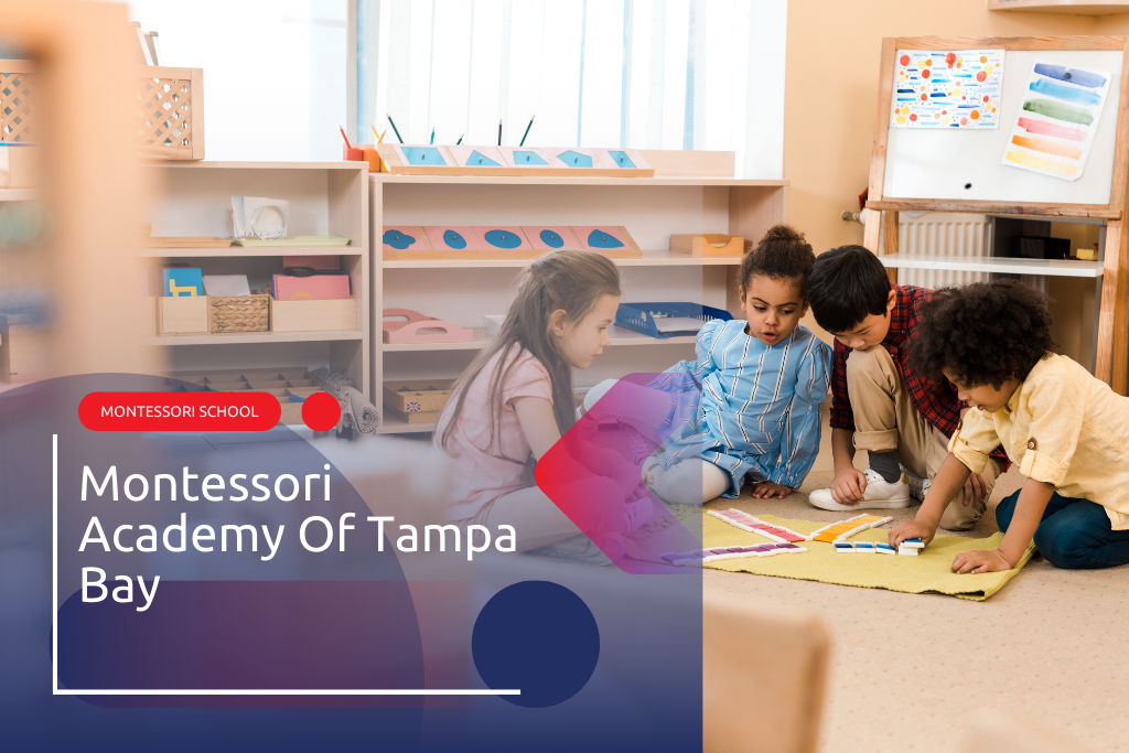 Dirección, teléfono y horario de apertura de Montessori Academy Of Tampa Bay ⏬ 👇