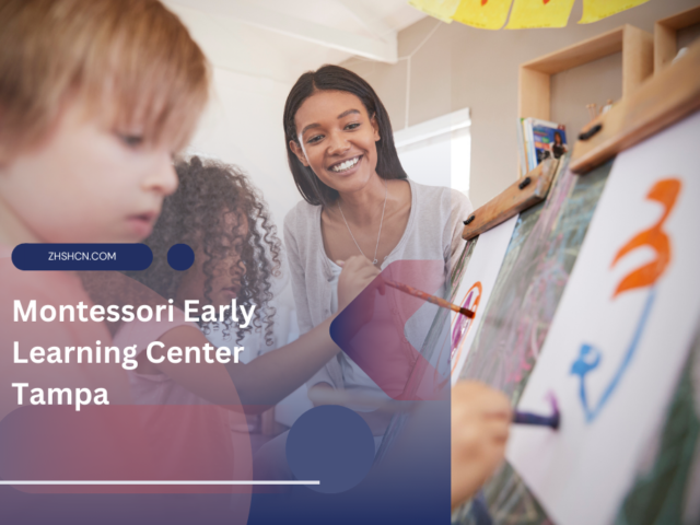 Montessori Early Learning Center Tampa Dirección, teléfono, correo electrónico, horario de apertura ⏬ 👇
