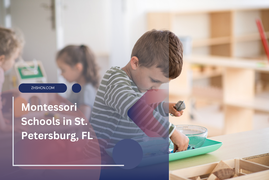 Montessori Schools in St. Petersburg, FL