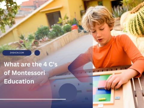 American Montessori Preparatory School 
