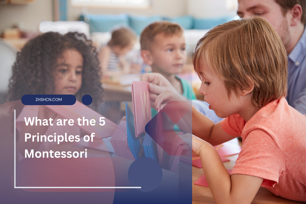 ¿Cuáles son los 5 principios de Montessori?
