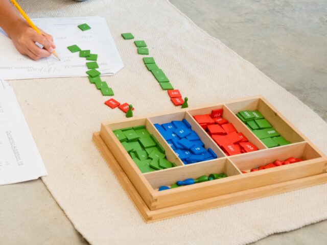 Why Montessori Education is a Game-Changer ⏬ 👇